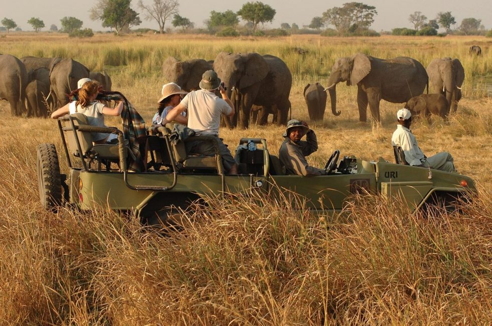 Game-Drive-Kidepo.jpg